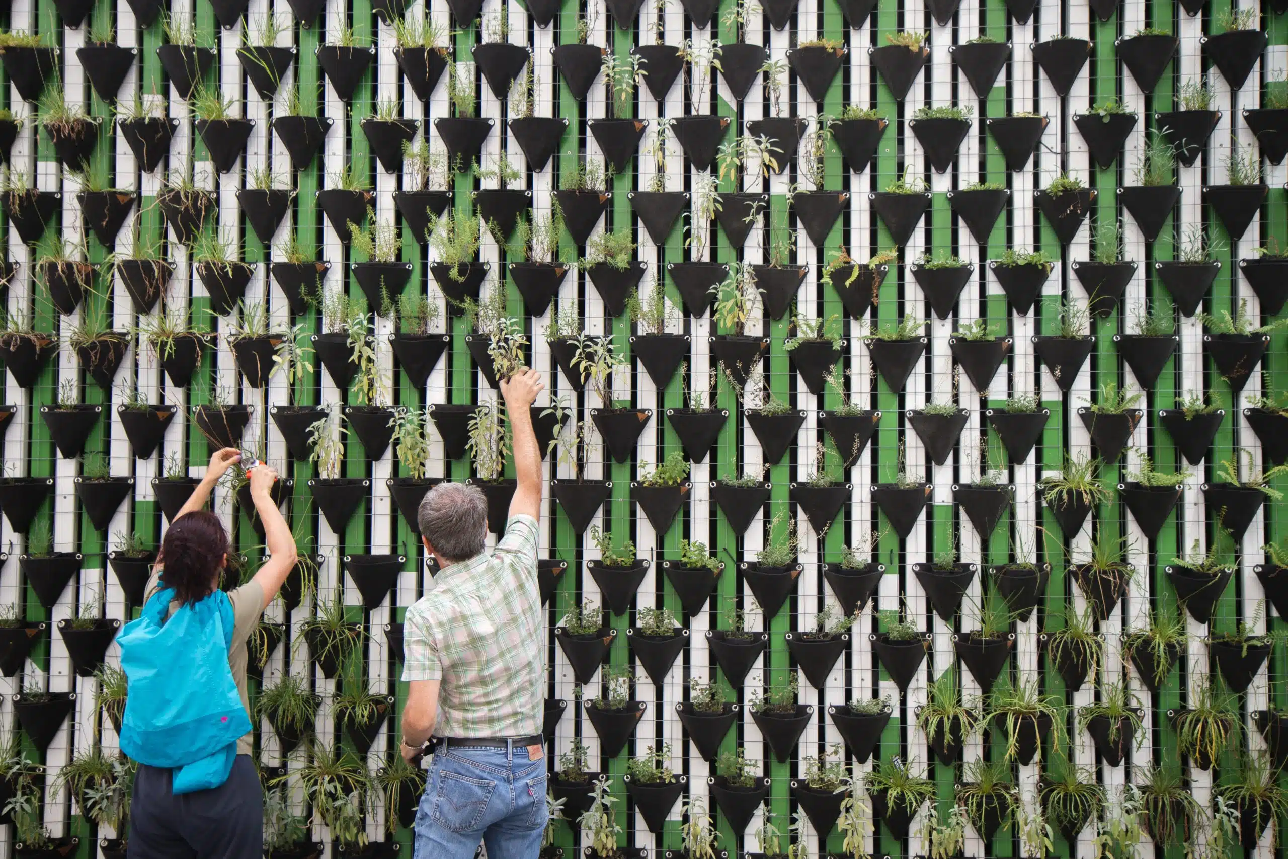 Two people look at a wall of plants