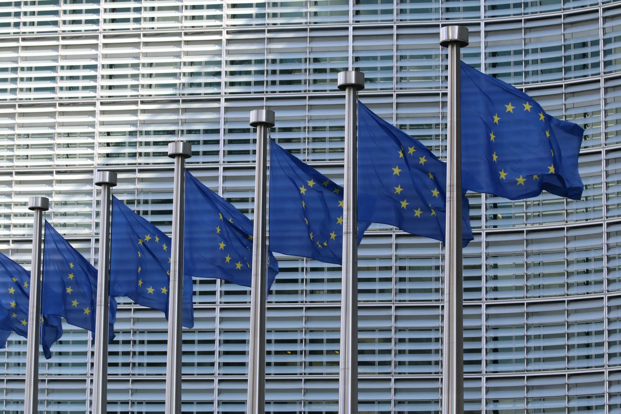 EU flags in a row