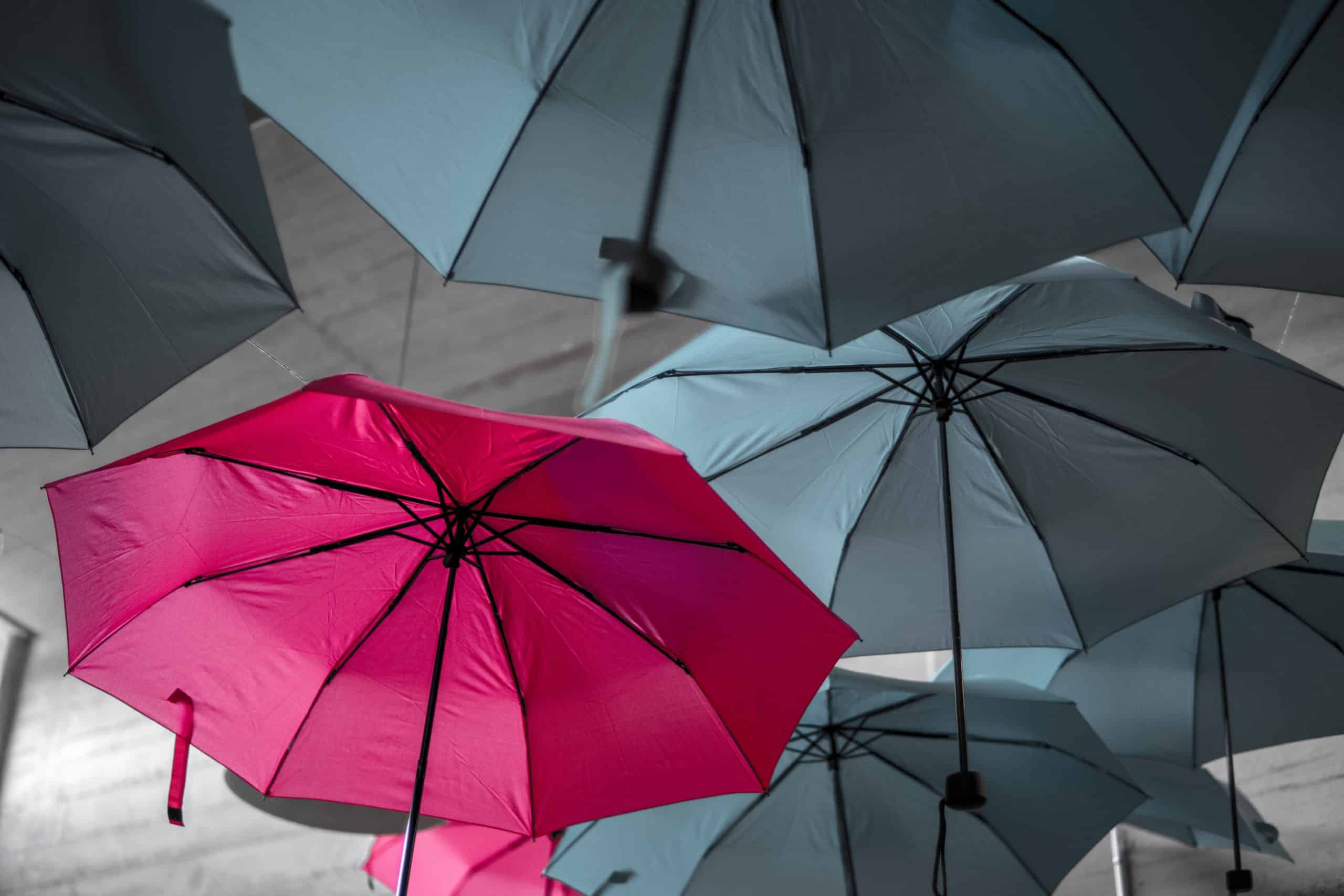 one pink umbrella surrounded by grey ones