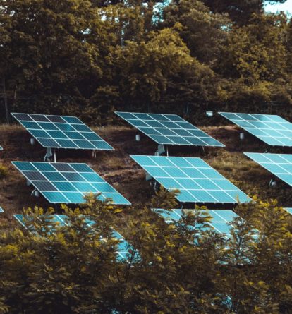 Solar panels in a field with hedges
