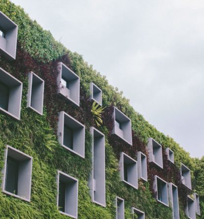 Building with wall covered in plants