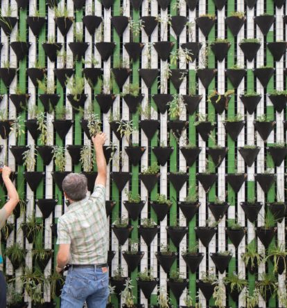 Two people look at a wall of plants