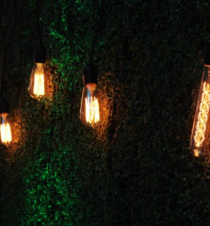 lightbulbs on a green wall