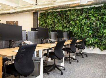 Office with plant wall