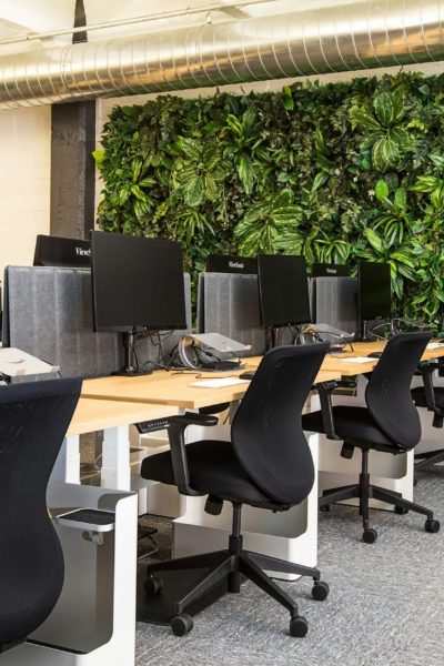 Office with plant wall