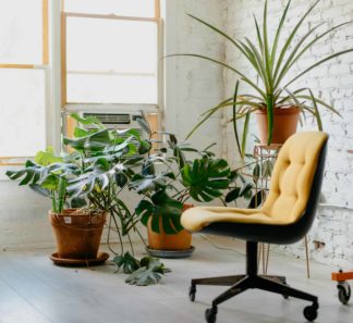 Office chair and plants