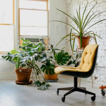 Office chair and plants