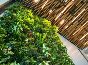 sustainable plant wall