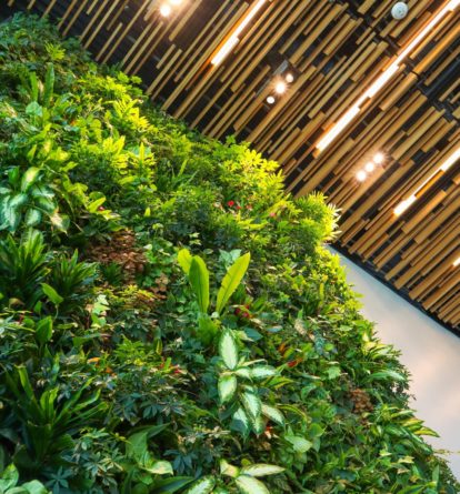 sustainable plant wall